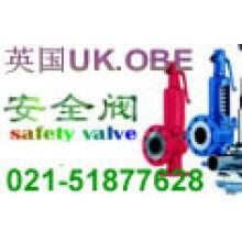 進(jìn)口全量型安全閥 上海樹(shù)典閥門(mén)