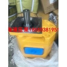 山東地區(qū)裝載機(jī)CBGJ2080 CBGJ2040液壓齒輪泵廠家價(jià)格